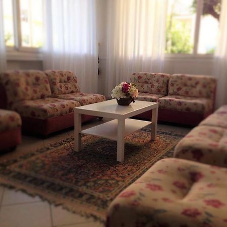 Hotel Primula ليدو دي سافيو المظهر الخارجي الصورة