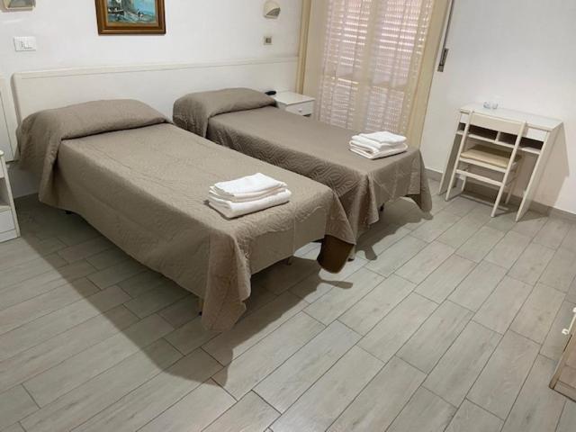 Hotel Primula ليدو دي سافيو المظهر الخارجي الصورة